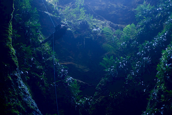 Female abseiling in to a moss covered cave