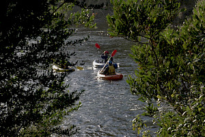 A group of packrafters on the river